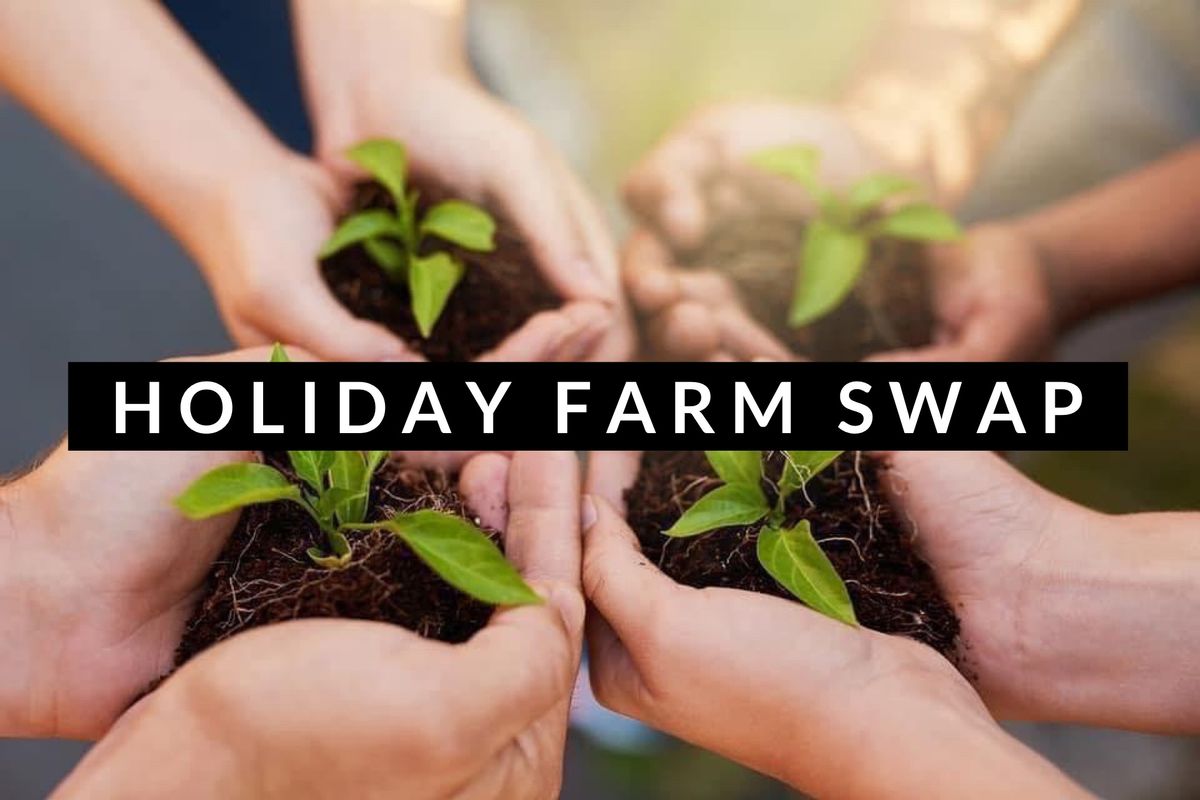 Old Miakka Holiday Farm Swap 