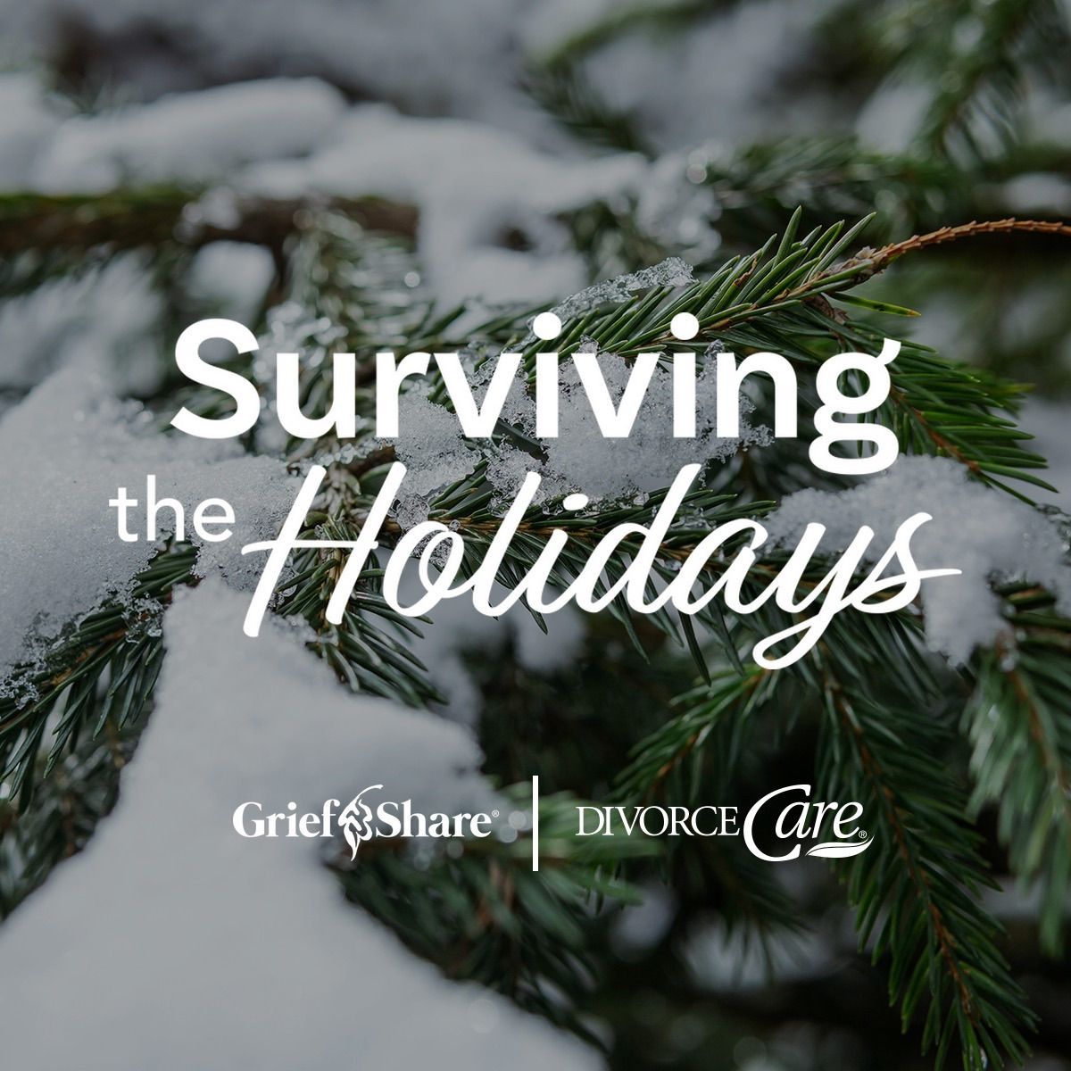 Surviving The Holidays