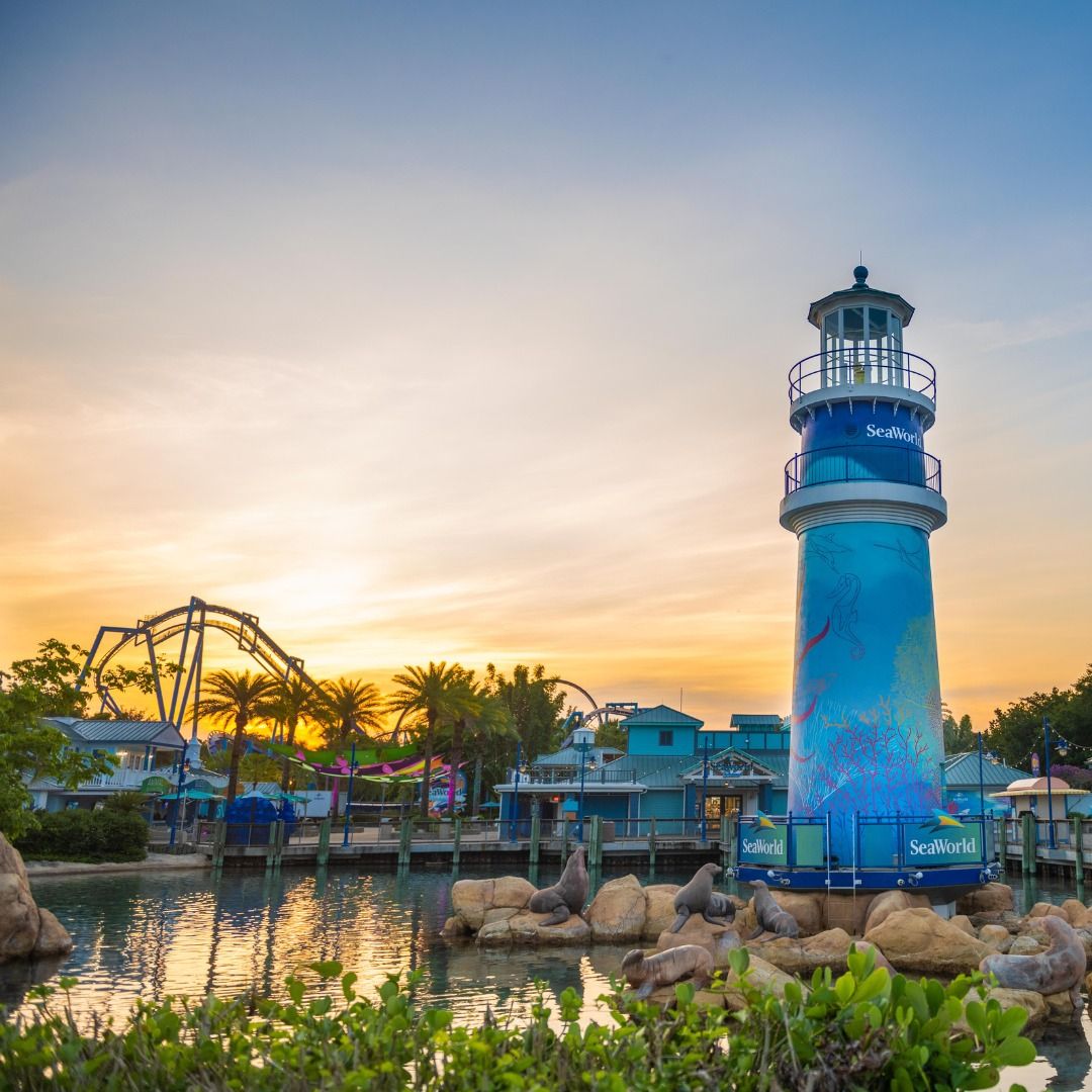 \ud83c\udf0a A Day at SeaWorld Orlando \ud83c\udf0a Weekend Getaway ONLY $199 Per Couple