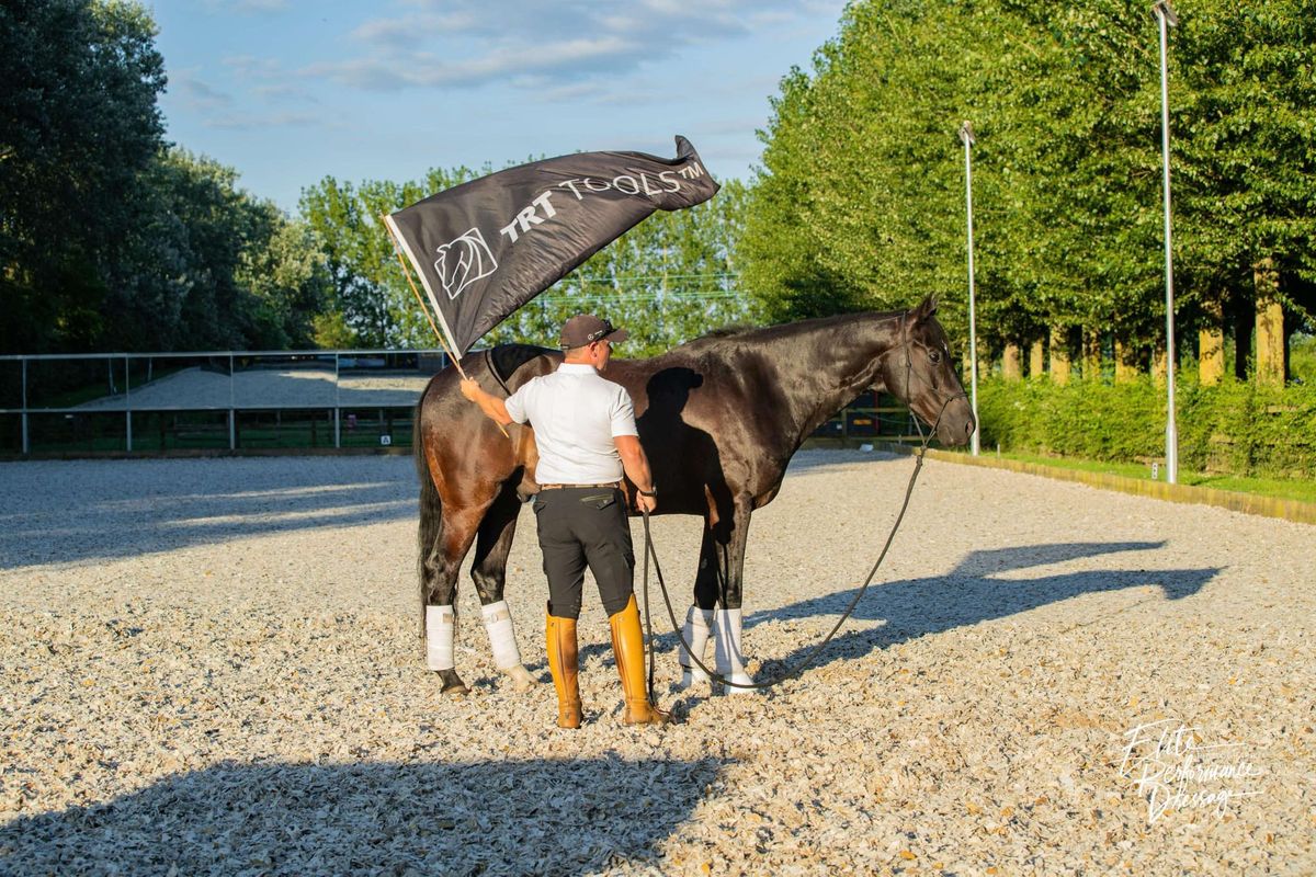 *NOW FULL* Keith Robertson Dressage & In-Hand Groundwork Clinic