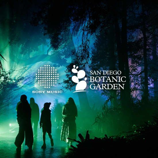 Lightscape at San Diego Botanic Garden