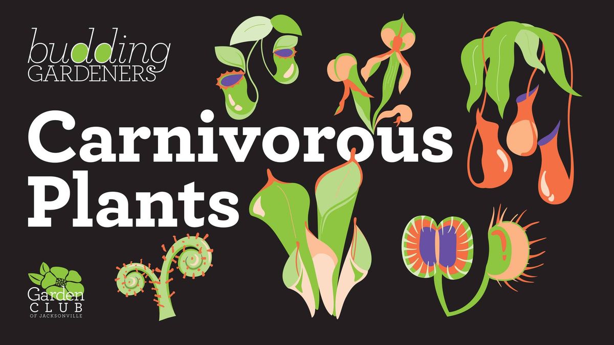 Budding Gardeners: Carnivorous Plants