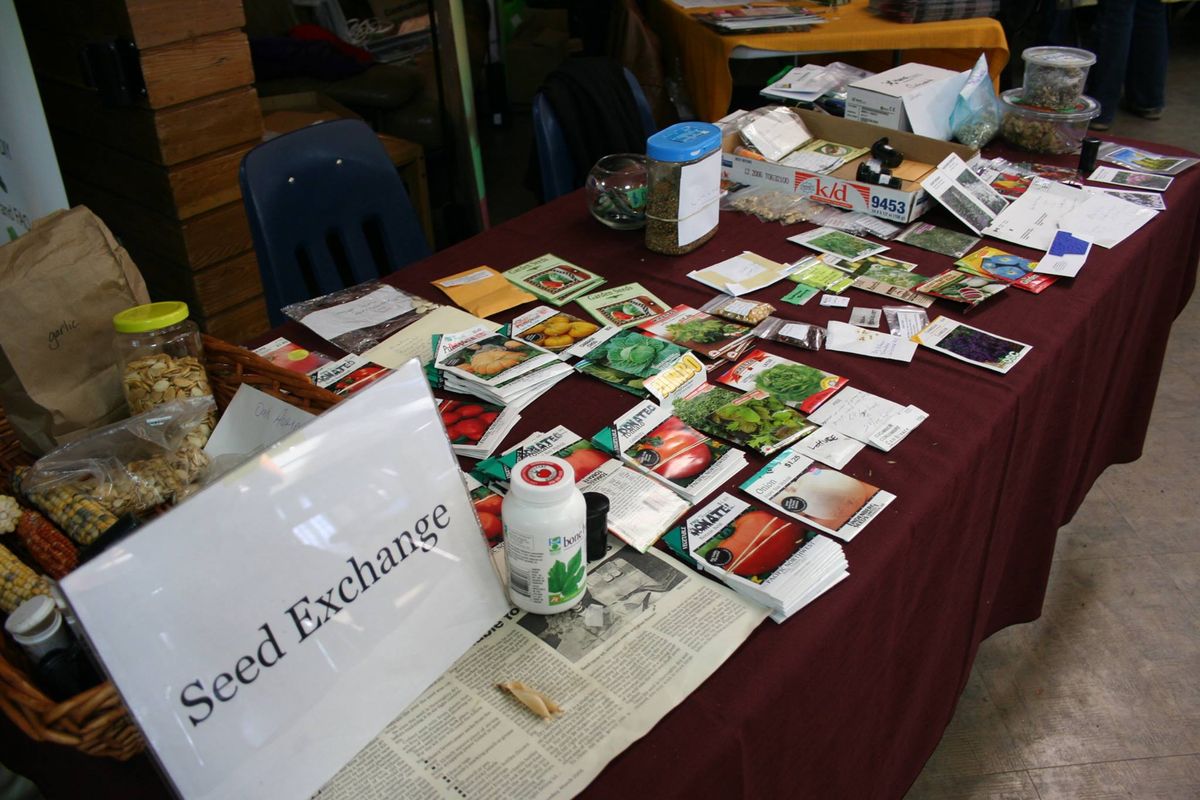 Calgary Seedy Saturday 2025