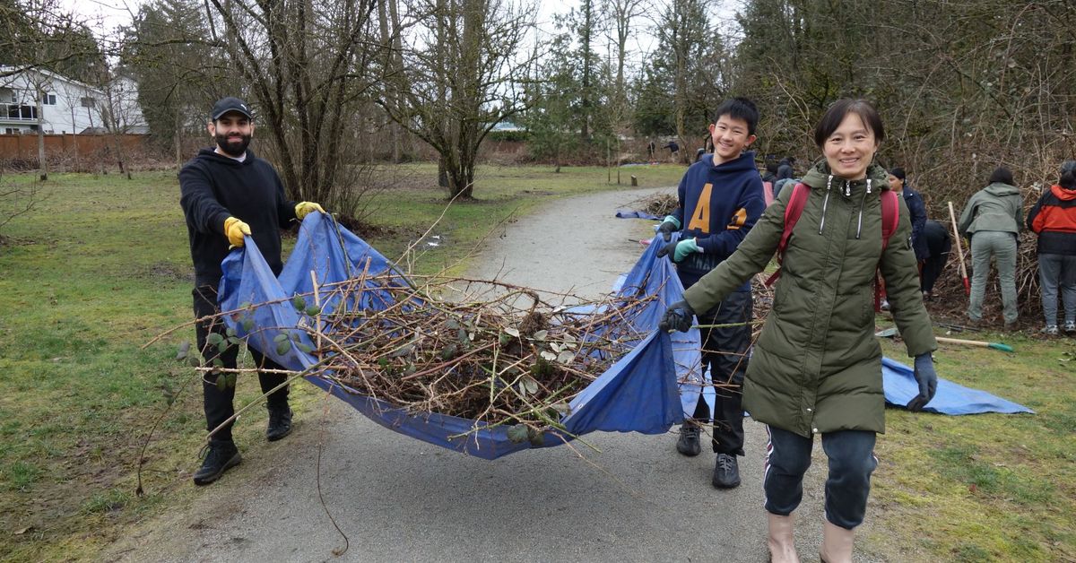 Invasive Species Removal at Reg Franklin Park