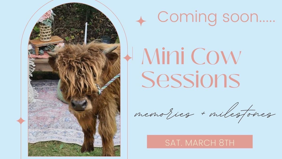 Mini Cow Session - SELF SERVE PHOTOS