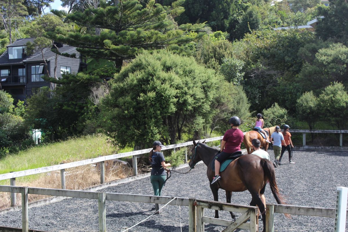 Waitangi Day Pony Rides