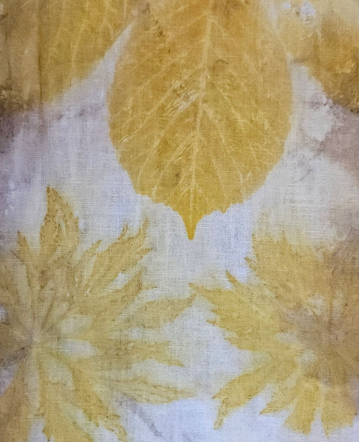 Eco Dyeing Workshop - Dyeing Fabrics, Fibres and Paper with Colleen Plank