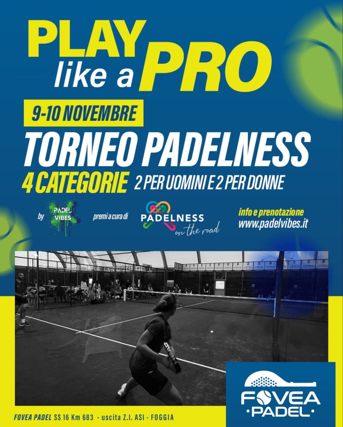 Torneo Padelness