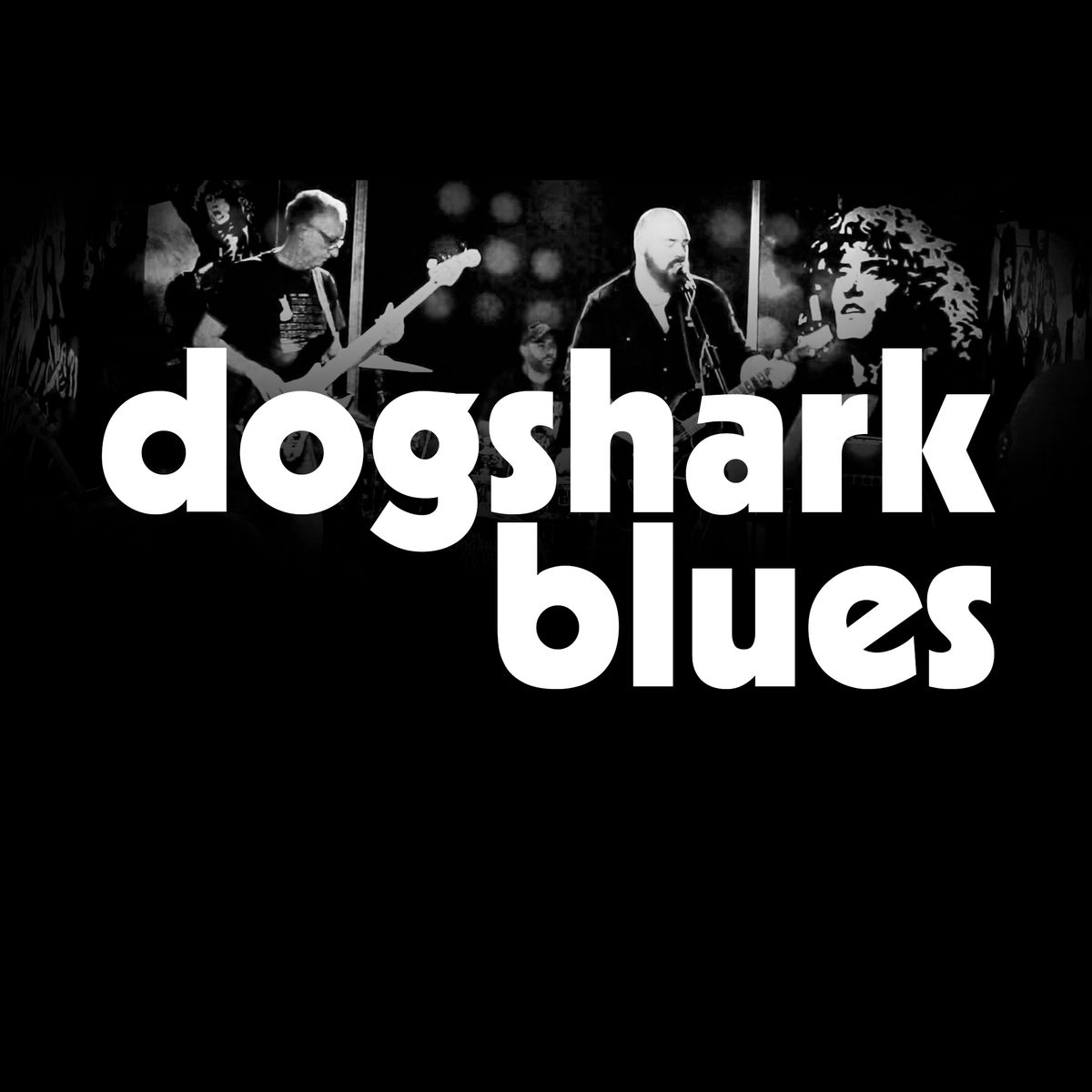 Dogshark Blues Live at The Old Town Hall Wombwell