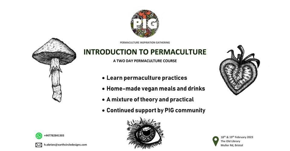 Permaculture Introduction Course - 2 days - Bristol