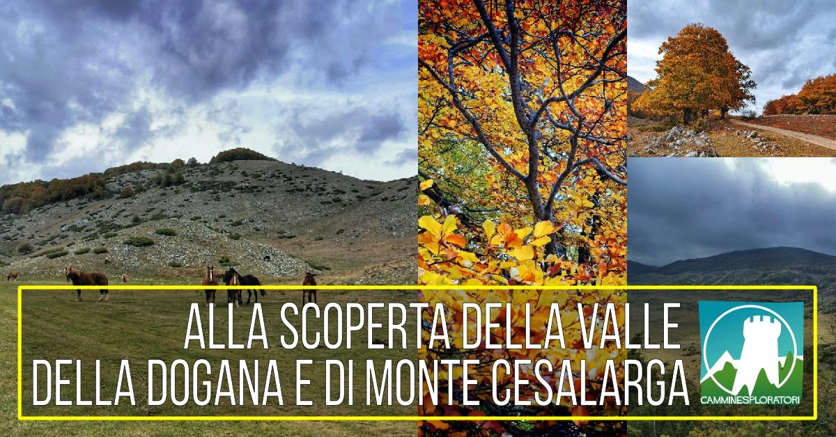 Alla Scoperta della Valle della Dogana e di Monte Cesalarga