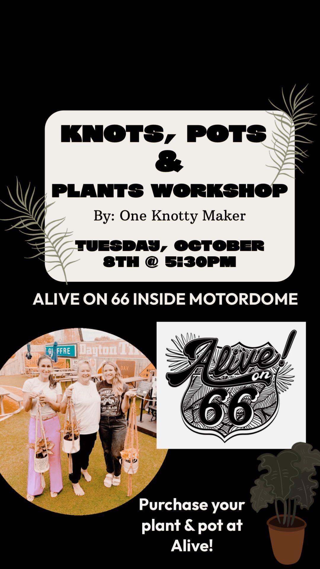 Knots, Pots and plant workshop at Alive on 66