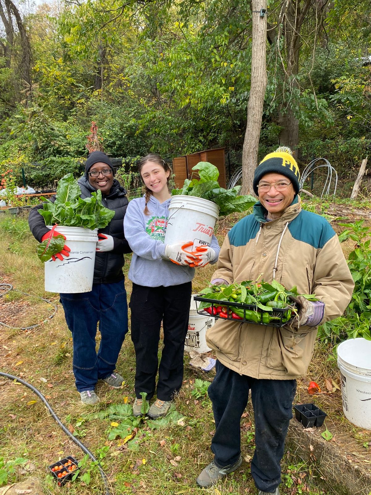 Composting & Harvesting Volunteer Day at Hazelwood Food Recycling Site