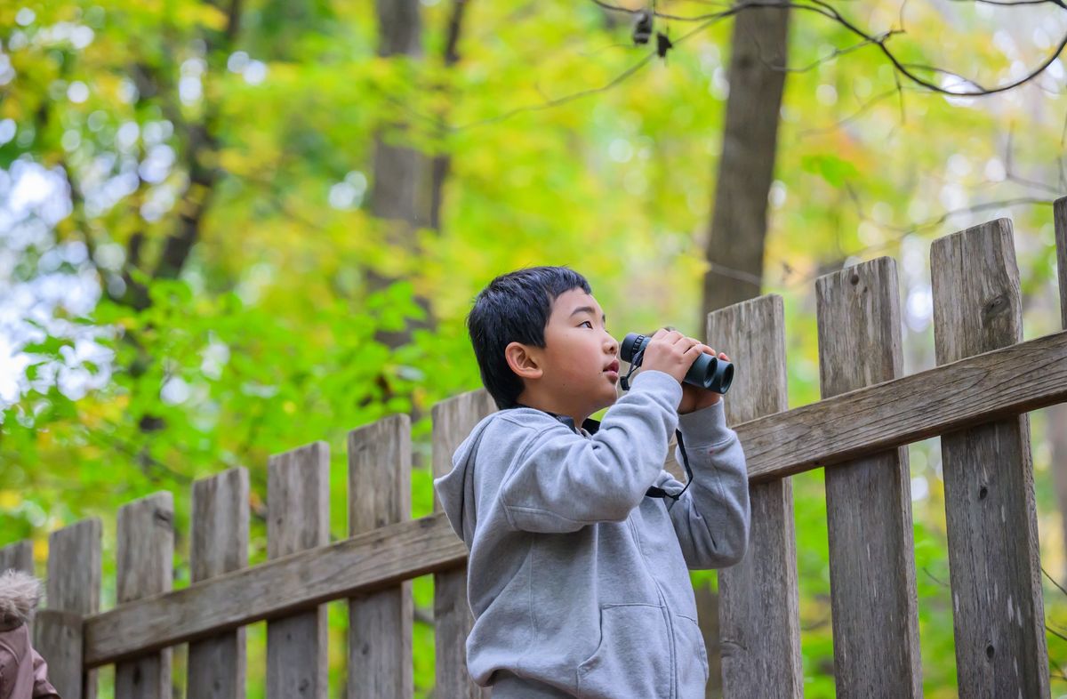 Homeschool: Explorers