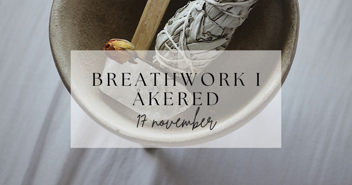 GRACE - Breathwork + Reiki 17 november