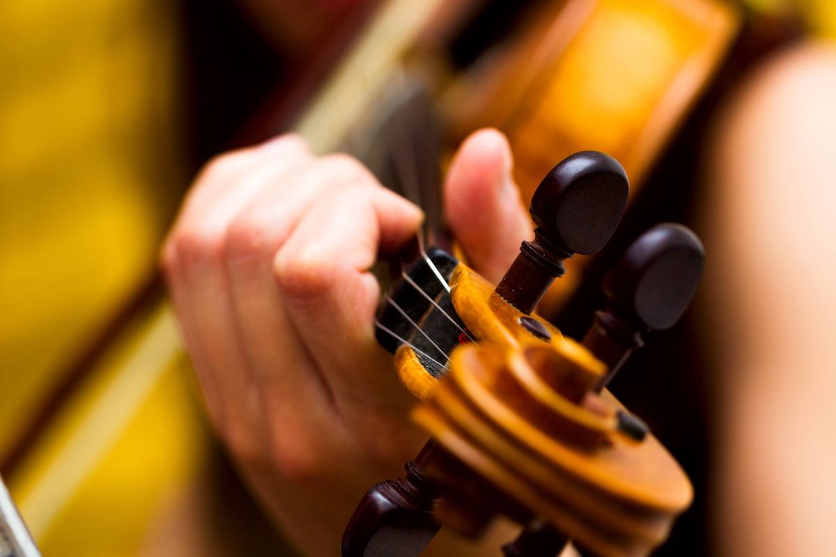 Music in the Library: Rogue Valley Symphony