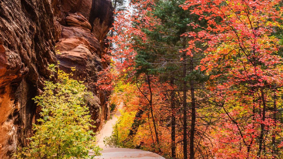 Logan Canyon