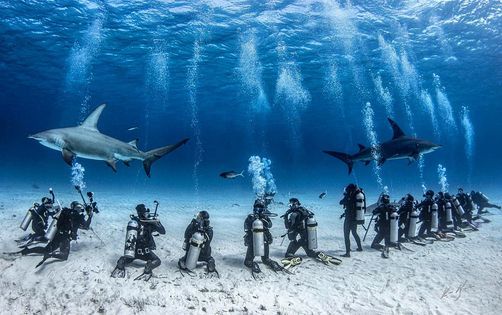 Aquanautics' Bimini, Bahamas SCUBA Dive Trip