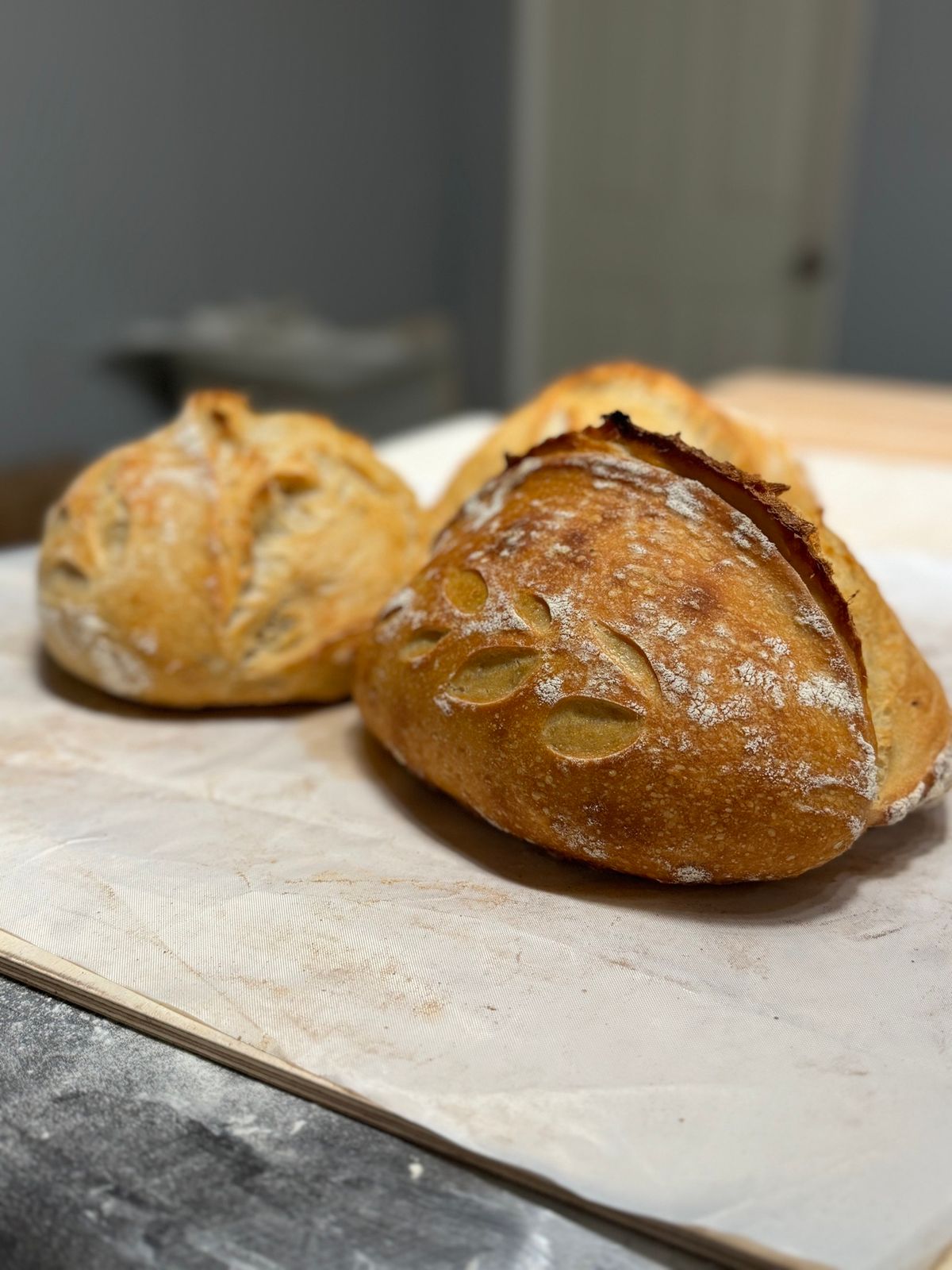 Sourdough For Beginner's Sip & Bake