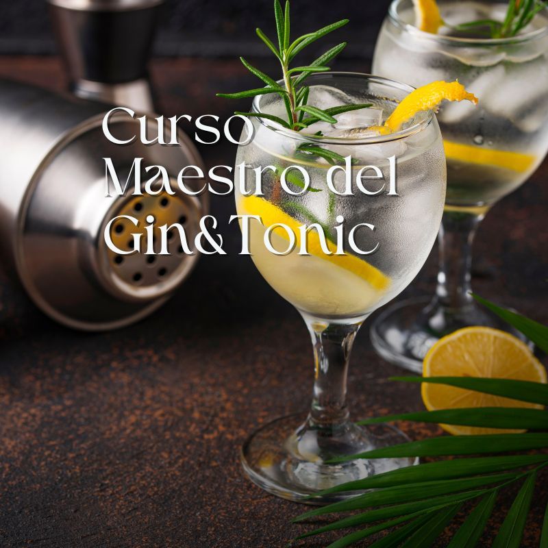Curso maestro del gin-tonic en la Escuela de Cocteler\u00eda