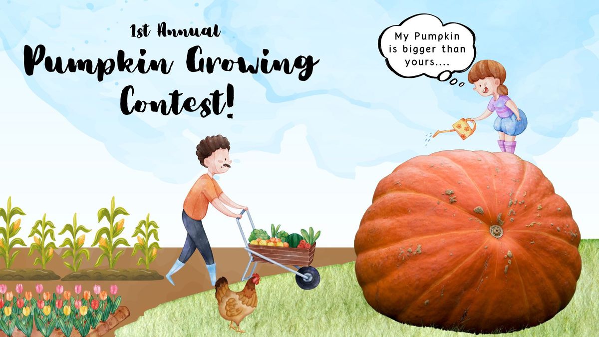 Giant Pumpkin Contest