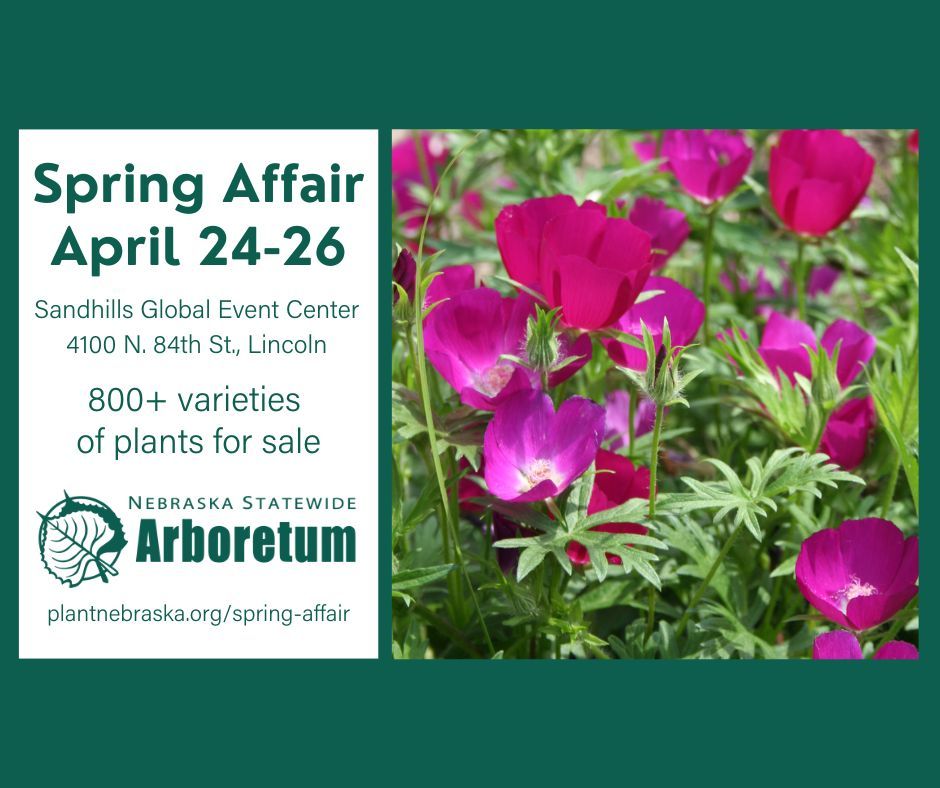 Spring Affair Plant Sale 2025