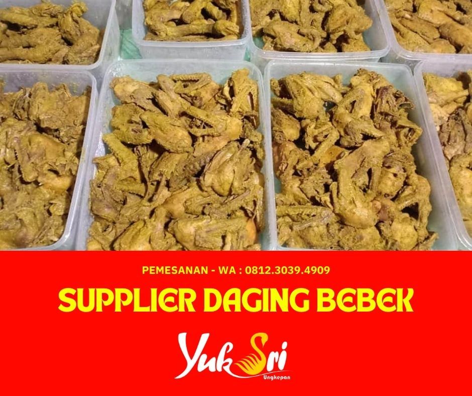 WA 0812.3039.4909, Supplier Daging Bebek Mentah Jakarta