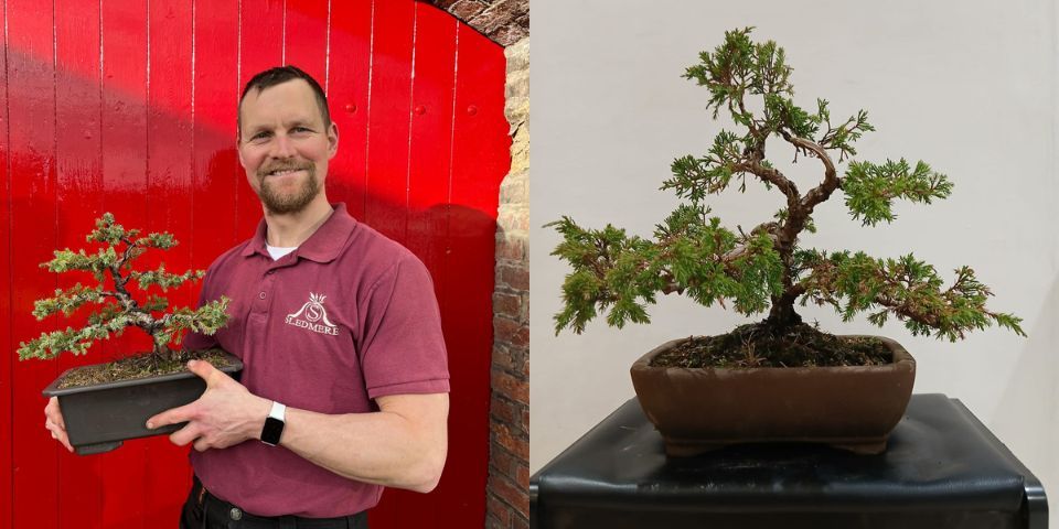 Garden Workshop: Beginners Bonsai