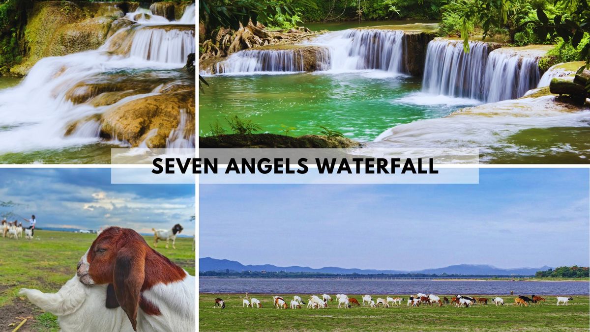 Seven Angels Waterfall (Easy Hike & Waterfall)