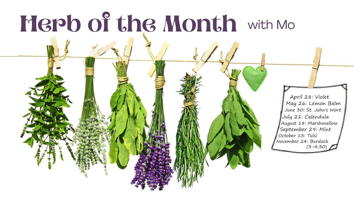 Herb of the Month with Mo