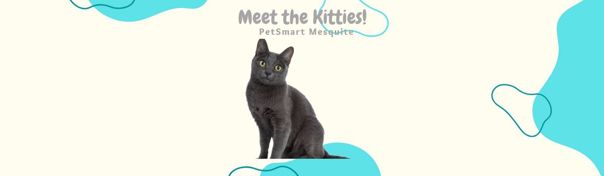 PetSmart Adoption Event - Mesquite