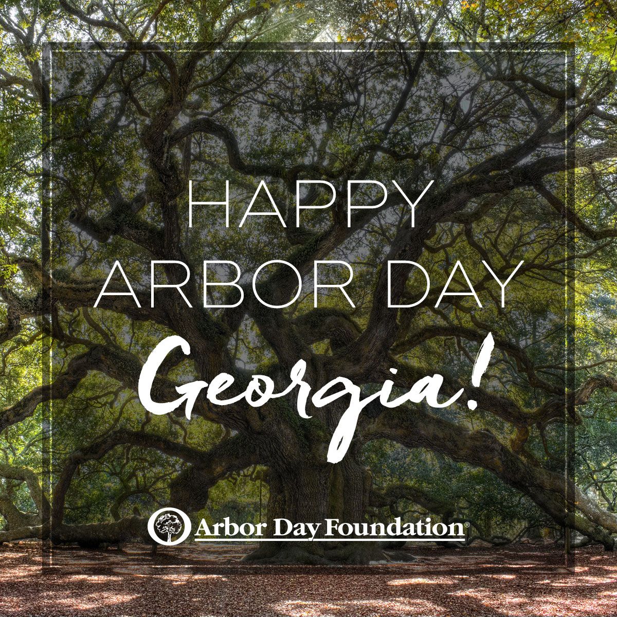 Roswell's Georgia Arbor Day Celebration