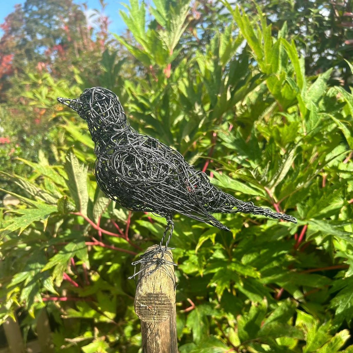 Wire Blackbird Workshop