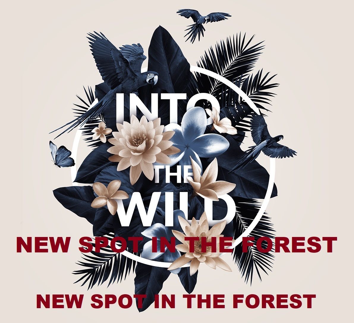 INTO THE WILD  Dimanche 01 D\u00e9cembre 2024  NEW SPOT !!