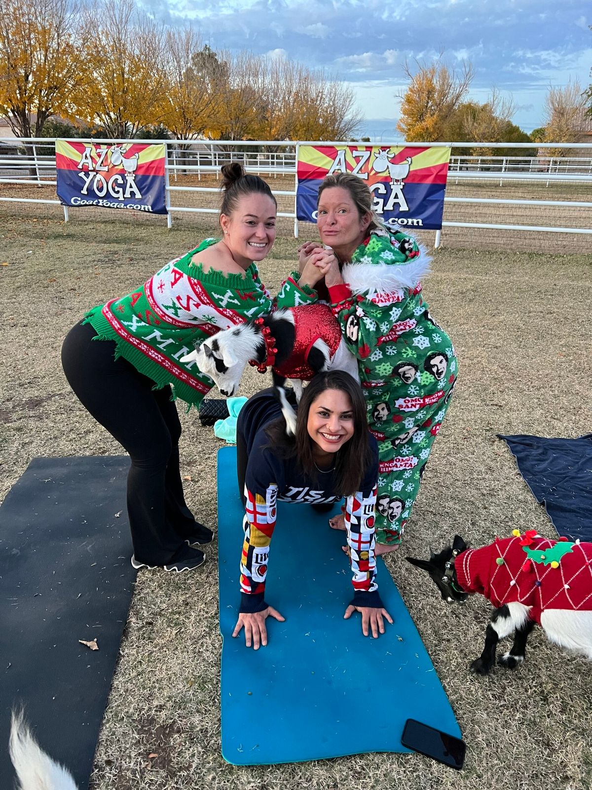 Ugly Christmas Sweater Goat and Alpaca Yoga 10am 12\/14