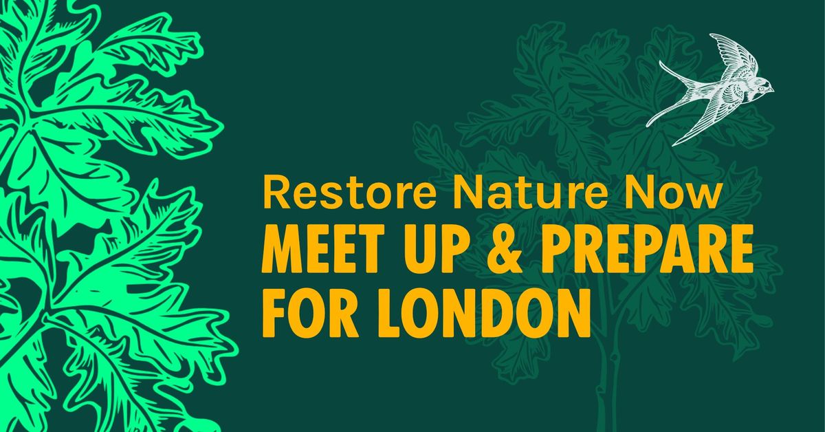 Meet Up and Prepare - for Restore Nature Now
