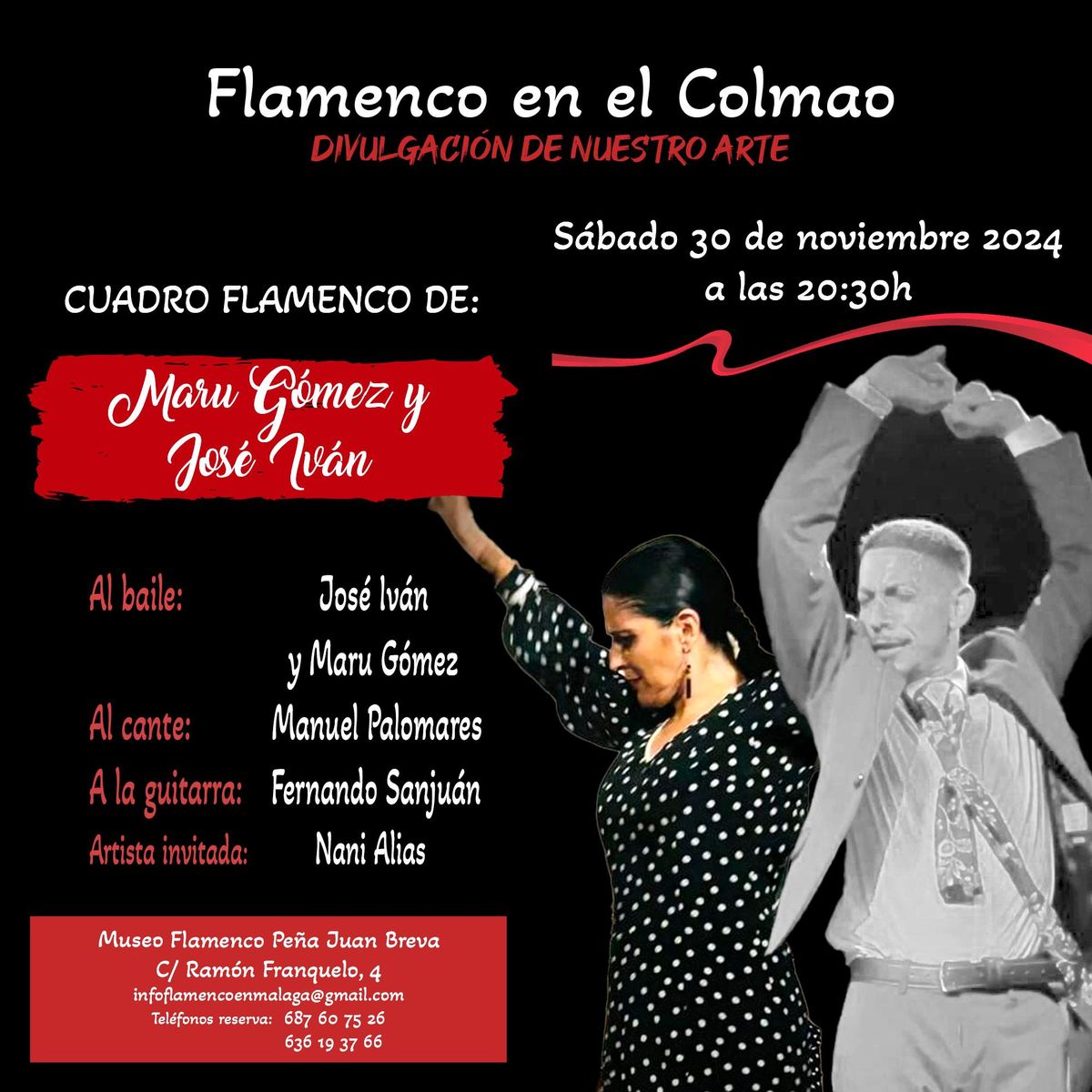 Cuadro Flamenco de Maru G\u00f3mez y Jos\u00e9 Iv\u00e1n en Flamenco en el Museo