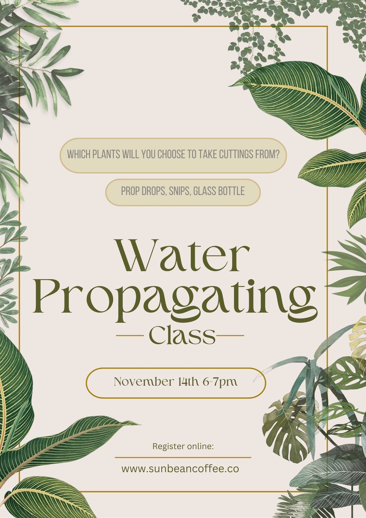 Water Propagating Class