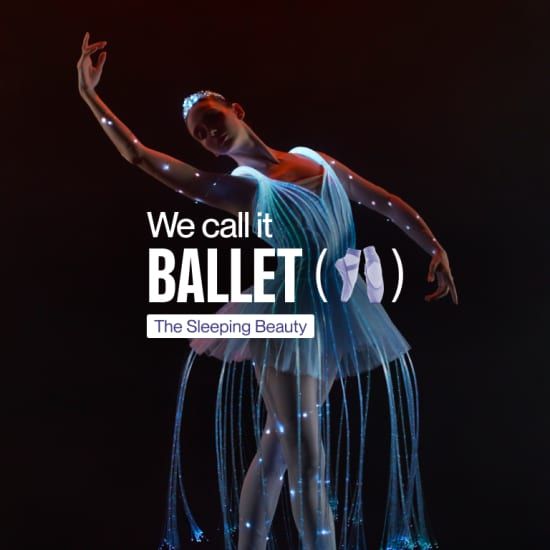 We call it Ballet: Doornroosje, de dans- en lichtshow!
