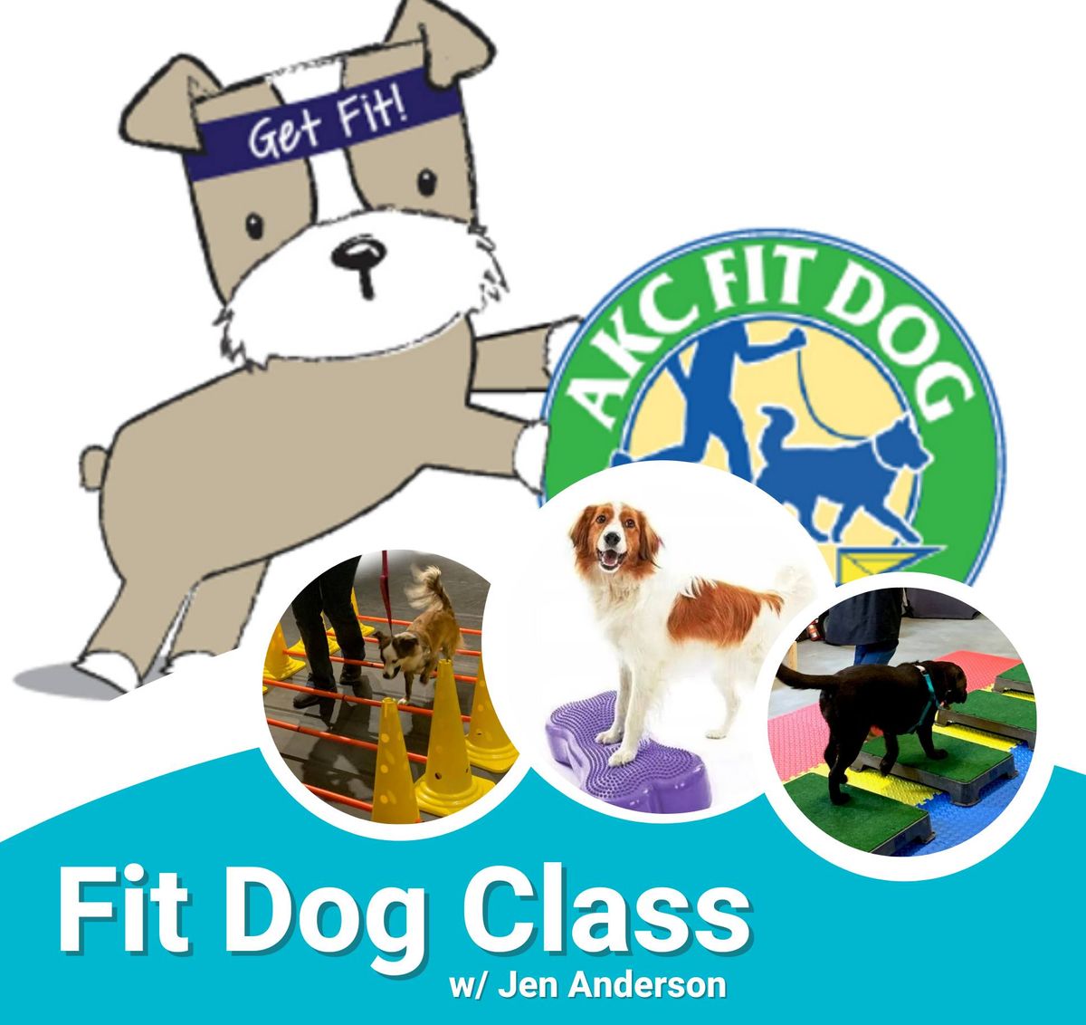 Fit Dog Level 1 w\/ Jen Anderson