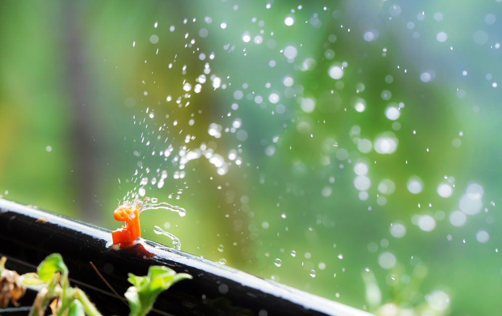 Eco Gardener - WRD Rainwater Capture Workshop (FREE) 