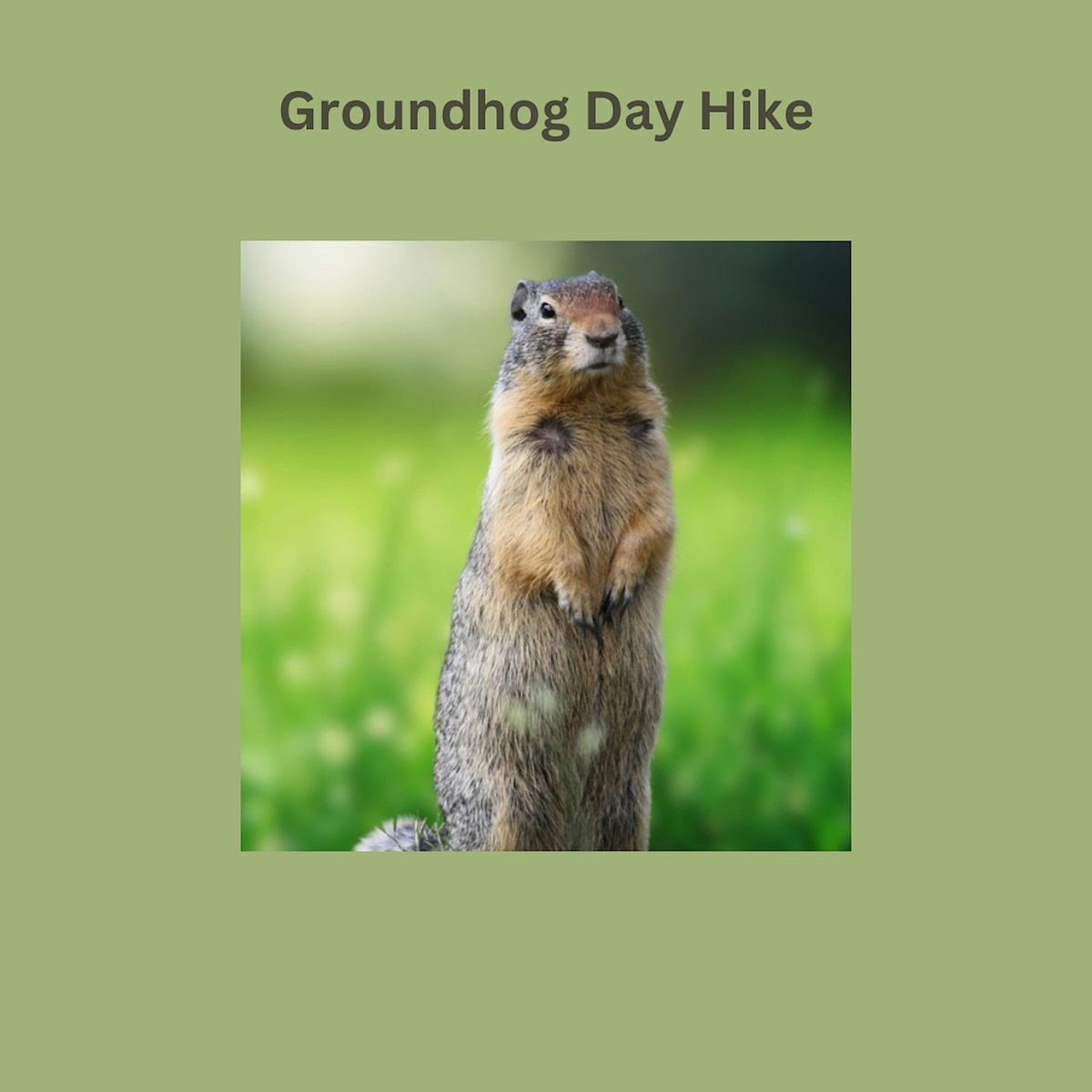 Groundhog Day Hike at Wolf Trap National Park for the Performing Arts