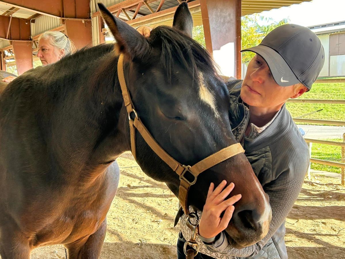 (IET CST4) CranioSacral Techniques,With Grace & Bonnie, West Virginia 