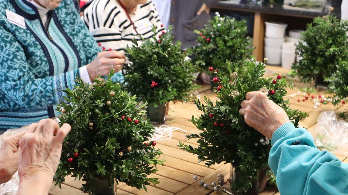 Holiday Boxwood Topiary Tree [Hands-on Workshop]