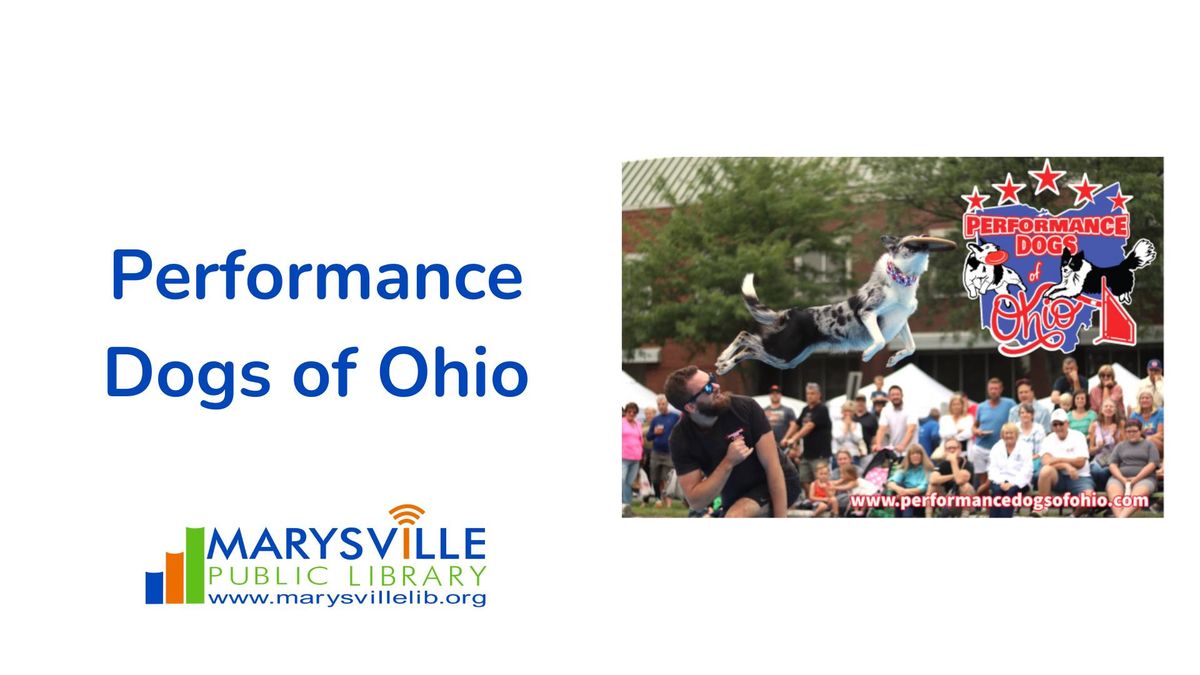 Performance Dogs of Ohio Show