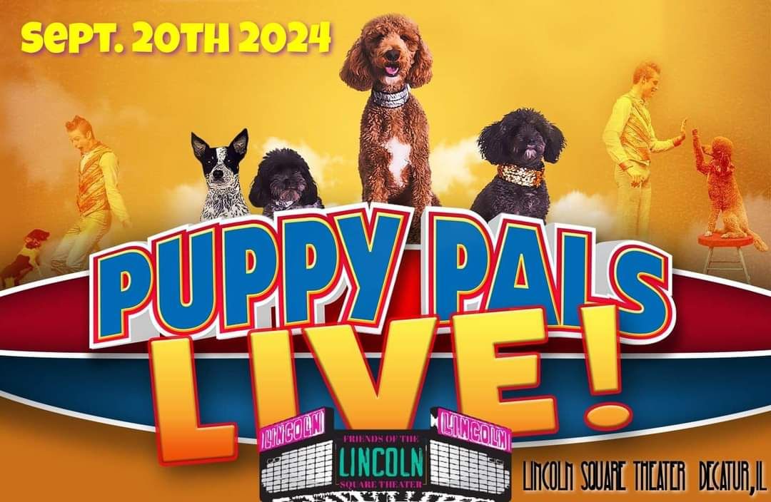 Puppy pals Live!!!!