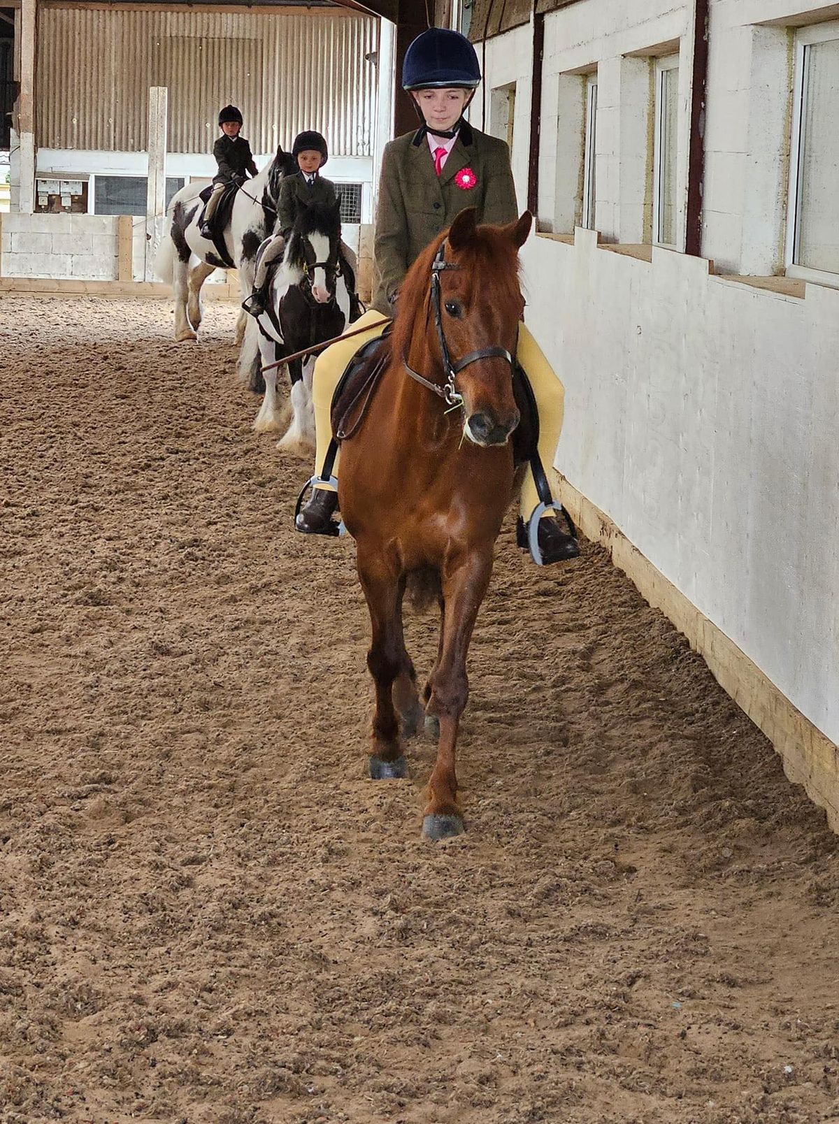 AEUK Riding Club Dronfield 