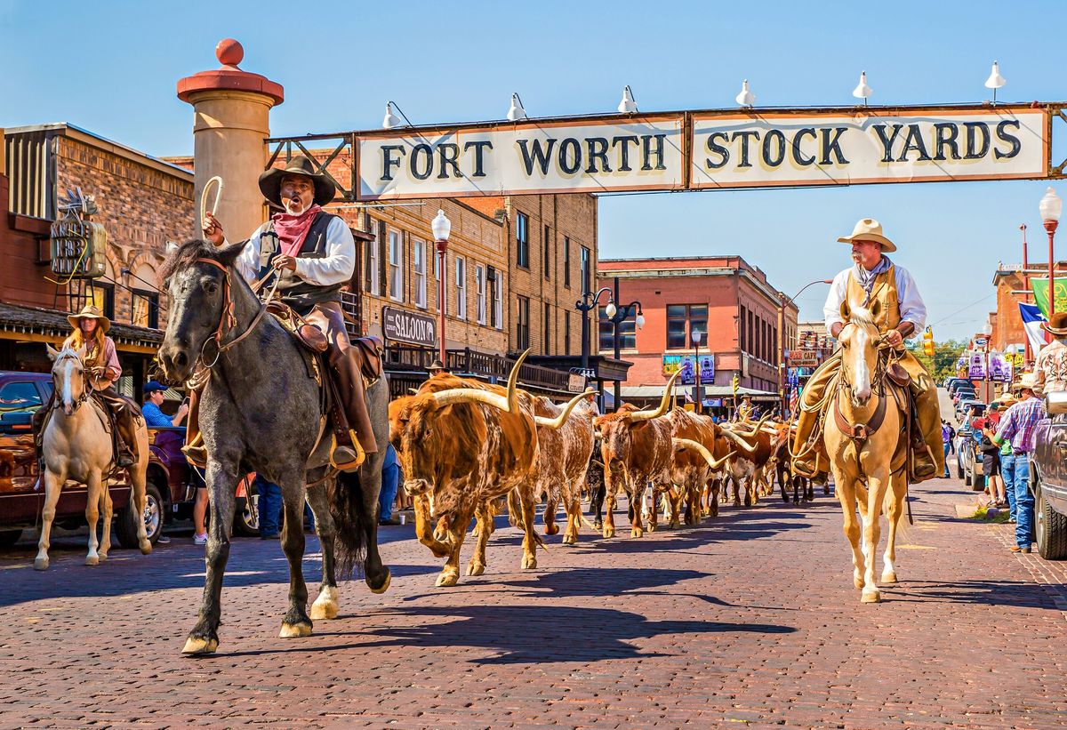 Any Kids 8-13 Years, Come Join Us: Herd Cattle Drive |  Walking Tour | Cowtown CattlePen Maze