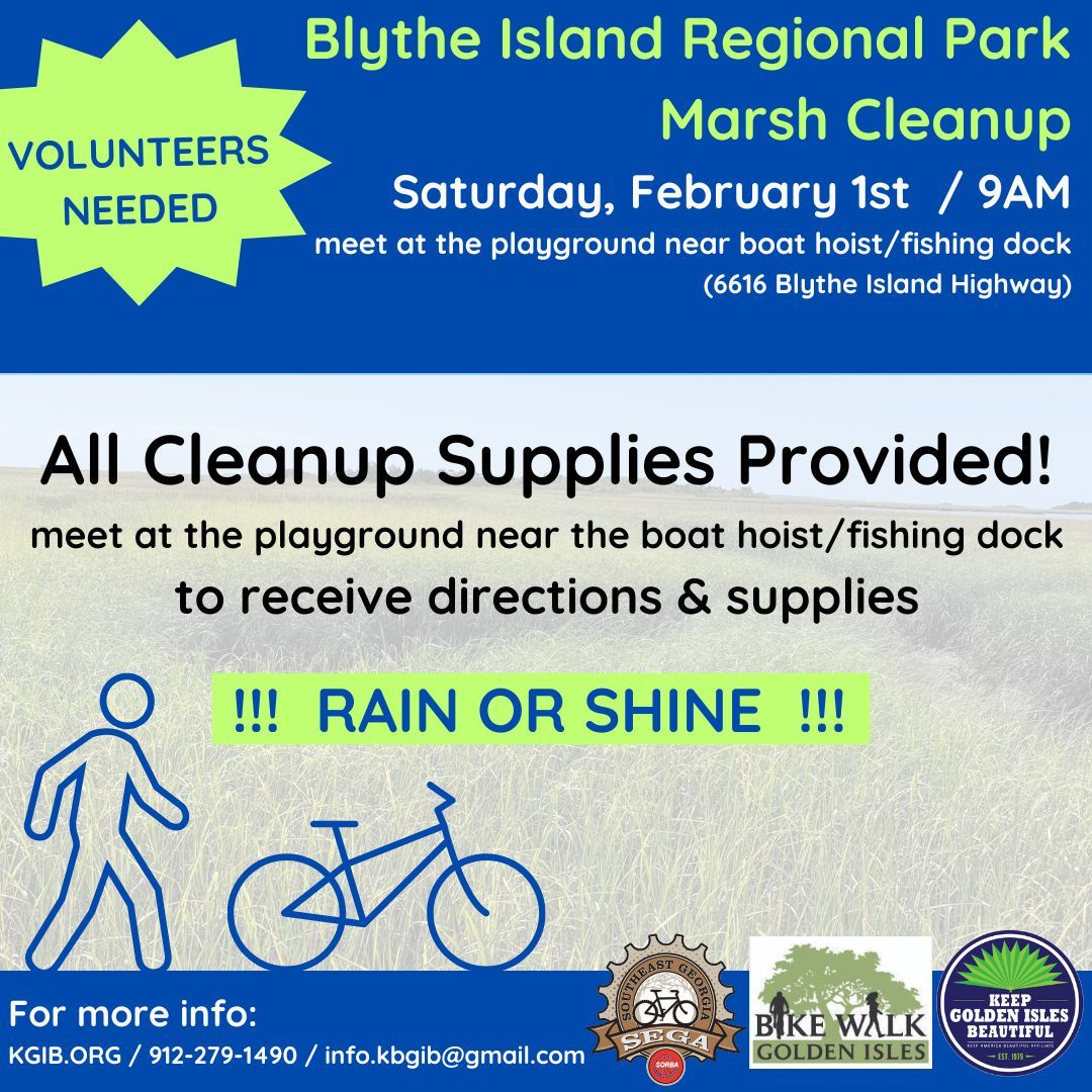 Blythe Island Regional Park Marsh Cleanup