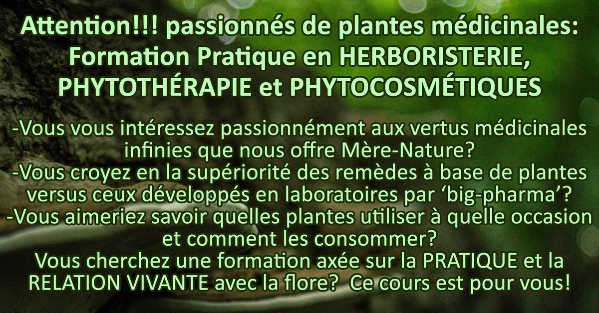 Formation pratique en Herboristerie, Phytoth\u00e9rapie et Phytocosm\u00e9tiques (sur 10 semaines)